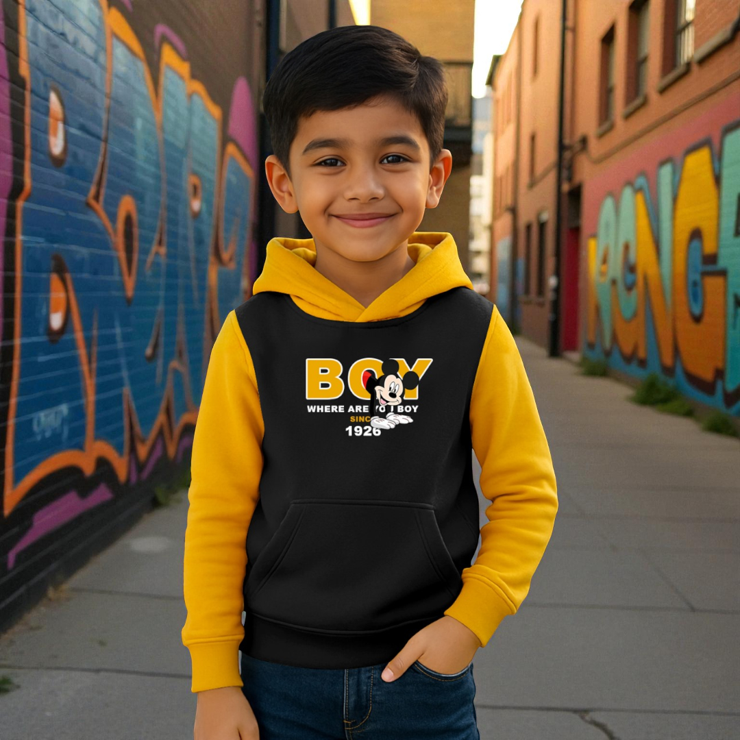 Full Sleeve Premium Boys Hoodie-SBD 008