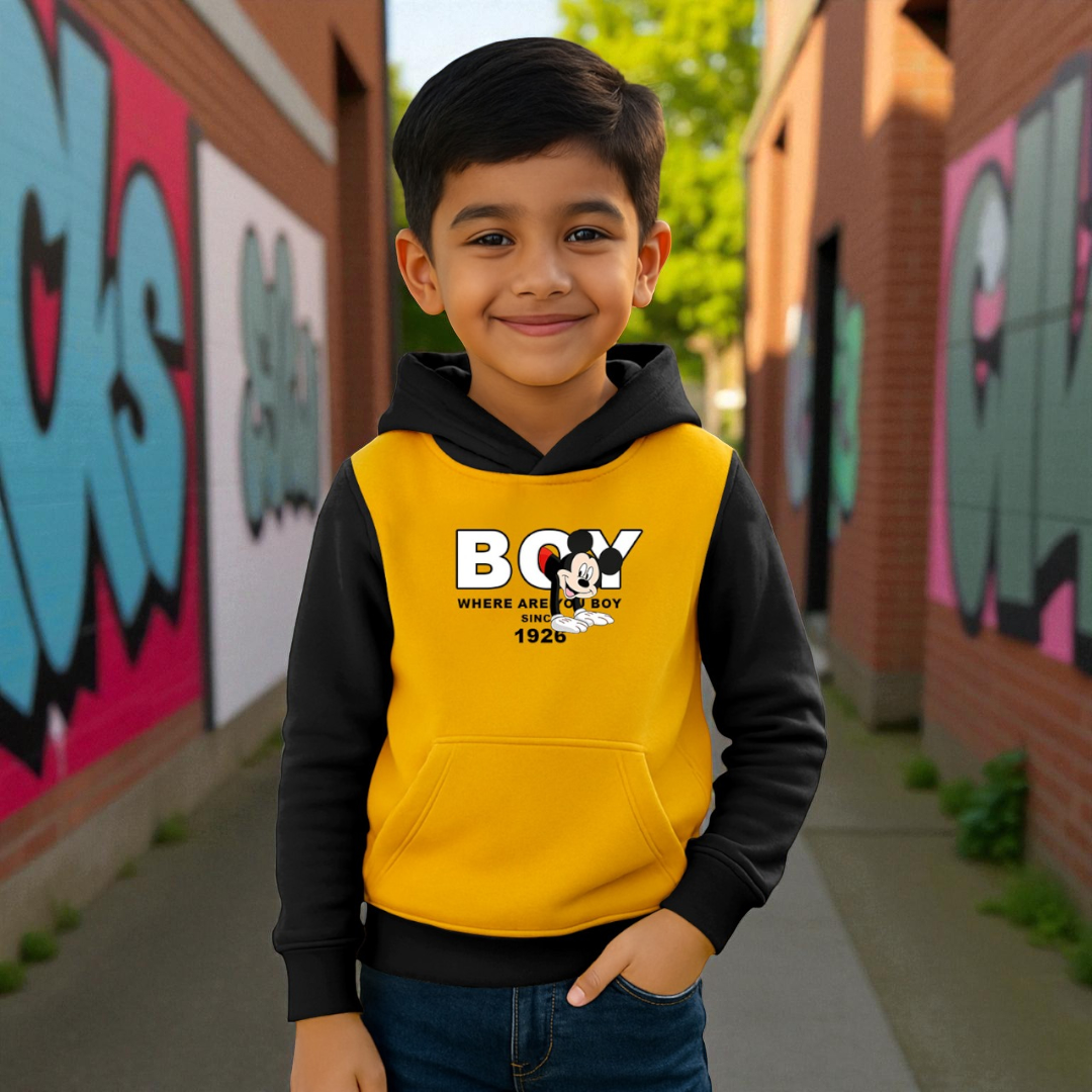 Full Sleeve Premium Boys Hoodie-SBD 005