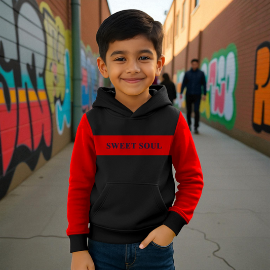 Full Sleeve Premium Boys Hoodie-SBD 012